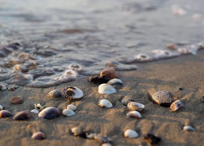 Appartement Comfy Sea View In Bibione